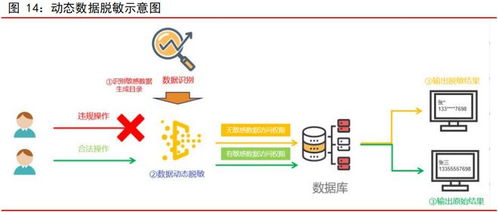 数据安全深度报告 贯穿全生命周期管理，领军企业产品矩阵赋能数据处理服务