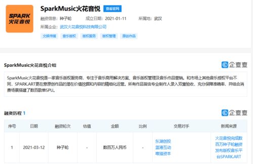 火花音悦获数百万种子轮融资，以数据处理服务为引擎，加速音乐版权市场布局